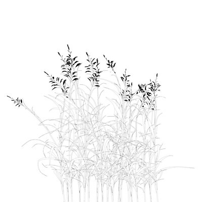 EPS 해외이미지 식물 디자인 계절 실루엣 줄기 결혼 백그라운드 잎 꽃무늬 밭 라인일러스트 일러스트 자연 미술 풍경 잔디 그래픽 장식 여름 정원 검은색 성장 흰색 신선 숲 낟알 시리얼 수집 허브 심볼 그림 에코 윤곽 고립 꼬투리 아마 호밀 귀리 해외일러스트 꽃 음식 컬러 무늬 농업 문화예술 곡류 촬영기법 이벤트 환경 생태계 파일형식 벡터 산업 이미지허브