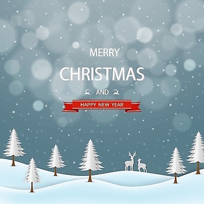 EPS 해외이미지 디자인 배너 계절 행복 백그라운드 크리스마스 겨울 일러스트 가족 자연 벽지 하늘 추상 휴가 새해 주택 선물 미술 장식 빨간색 초록색 빛 파티 얼음 거품 회색 흰색 축하 인사 소나무 신용카드 눈송이 12월 만화 질감 엽서 초대 순록 폭설 해외일러스트 자연요소 나무 기념일 감정 컬러 컨셉 무늬 관계 문화예술 눈_날씨 이벤트 건물 금융 예절 날짜 자연재해 편지 생태계 파일형식 벡터 이미지허브