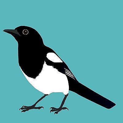 EPS 해외이미지 동물 아시아 야생동물 일러스트 관계 자연 조류 흑백 종류 파란색 검은색 흰색 도둑 까마귀 고립 해외일러스트 나라 컬러 촬영기법 범죄인 생태계 파일형식 벡터 이미지허브