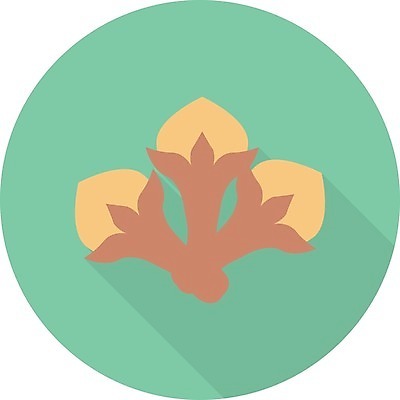 EPS 해외이미지 템플릿 디자인 음식 잎 일러스트 재료 파프리카 마늘 요리 그래픽 라벨 주방 수확 뜨거움 양념 인도인 허브 향신료 메뉴 유기농 소금 향료 레시피 후추 성분 생강 로즈메리 시나몬 회향 해외일러스트 외국인 식물 웰빙 농업 채소 프레임 동양인 향기 냄새 향미료 파일형식 벡터 이미지허브