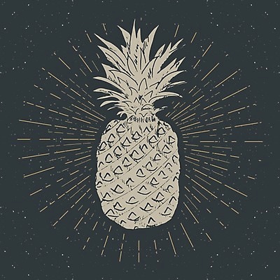 EPS 해외이미지 일러스트 사람없음 반짝임 갈색 칠판 낙서 파인애플 해외일러스트 컬러 과일 모션 열대과일 파일형식 벡터 이미지허브