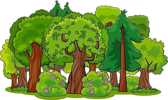 EPS 해외이미지 나무 식물 계절 단풍 낙엽 일러스트 자연 왕관 건강 풍경 야외 목재 그래픽 초록색 여름 환경 봄 성장 시골 신선 소나무 황무지 정상 숲 만화 침엽수 전나무 내추럴 생태학 가문비나무 해외일러스트 교육 컬러 잎 재료 생태계 파일형식 벡터 이미지허브