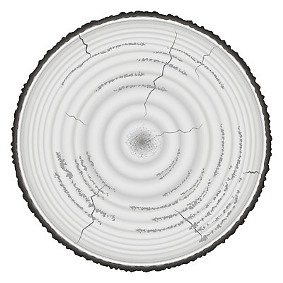 EPS 해외이미지 모양 나무 산업 벽 백그라운드 단풍 일러스트 자연 벽지 표면 날씨 목재 세트 갈색 수확 반지 소나무 거친 숲 낟알 장작 자르기 심볼 오브젝트 사인 질감 잡동사니 내추럴 고립 수목 해외일러스트 식물 컬러 잎 농업 재료 장신구 모션 생태계 파일형식 벡터 이미지허브