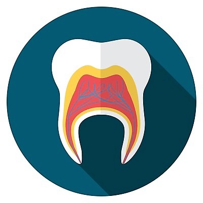 EPS 해외이미지 1 디자인 선 컨셉 일러스트 해부 건강 치과 미소 사람 그래픽 파란색 약 흰색 원형 입 구멍 플랫 치아 물개 심볼 오브젝트 흔적 사인 싱글 치과의사 윤곽 뿌리 배지 치약 우표 고립 돌봄 위생관리 해외일러스트 도형 컬러 포유류 의학 모션 표정 병원 관리 신체부위 위생용품 바다동물 의사 소화기관 파일형식 벡터 이미지허브