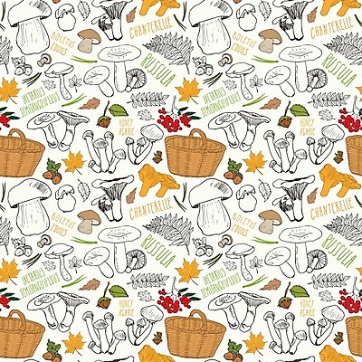 EPS 해외이미지 식물 디자인 계절 음식 백그라운드 잎 패턴 다이어트 채소 일러스트 재료 자연 건강 요리 타이포그라피 그래픽 장식 갈색 바구니 식사 버섯 견과류 수확 가을 신선 낙서 숲 스케치 수집 먹기 유기농 날것 윤곽 손그림 내추럴 고립 곰팡이 식용 엘리먼트 채식주의자 캡모자 비건 해외일러스트 문자 모자_잡화 웰빙 컬러 무늬 농업 모션 미술 생태계 채식 파일형식 벡터 이미지허브