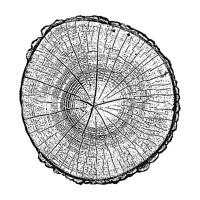 EPS 해외이미지 모양 나무 식물 디자인 물결 조각 백그라운드 셔츠 티셔츠 패턴 일러스트 부분 자연 타이포그라피 목재 그래픽 검은색 성장 흰색 반지 소나무 원형 거친 널 숲 장작 자르기 연도 유기농 질감 통나무 나무껍질 잡동사니 내추럴 고립 그런지 목판화 수목 옛날 해외일러스트 도형 문자 웰빙 컬러 상의 무늬 재료 장신구 모션 껍질 생태계 파일형식 벡터 이미지허브