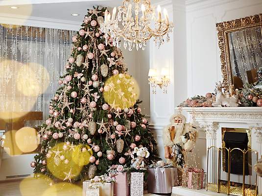 포토 JPG 해외이미지 나무 계절 행복 크리스마스 공 창문 아침 휴가 새로움 아파트 주택 기념 요정 실내 선물 사람없음 내부 장식 초록색 빛 상자 축제 화환 카펫 방 흰색 축하 황금 클래식 고급 편안함 담요 연도 벽난로 마법 전나무 리빙 광 해외포토 주간 식물 기념일 꽃 감정 컬러 컨셉 건물 감각 파일형식 이미지허브