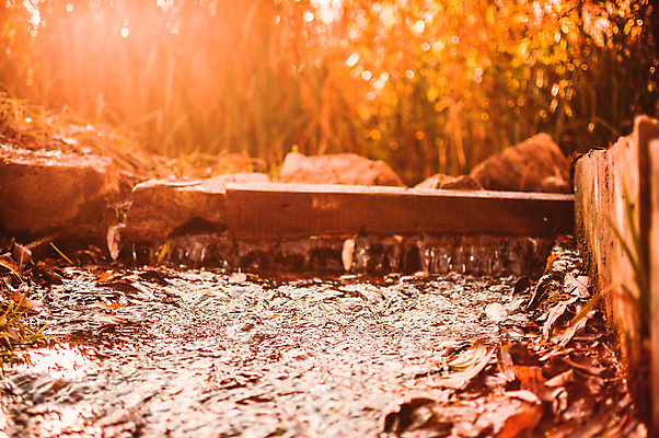 포토 JPG 해외이미지 나무 계절 공원 유럽 단풍 잎 오렌지 자연 사람없음 빨간색 초록색 물 강 컬러풀 노란색 환경 맑음 폭포 시골 신선 오픈 액체 개울 떨어짐 저녁 숲 10월 내추럴 해외포토 자연요소 식물 공공시설 나라 컬러 컨셉 과일 날씨 날짜 야간 생태계 파일형식 이미지허브