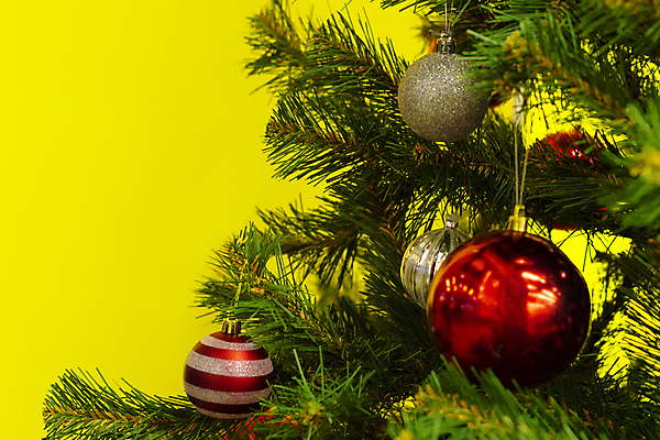 포토 JPG 해외이미지 나무 식물 전통 계절 별 문화 백그라운드 잎 크리스마스 겨울 부분 공 휴가 새로움 새해 사람없음 장식 빨간색 초록색 장난감 축제 나뭇가지 축하 인사 원형 황금 은색 12월 연도 심볼 오브젝트 활 기회 상록수 침엽수 전나무 고립 노엘 인공 가문비나무 해외포토 자연요소 도형 기념일 컬러 컨셉 예절 날짜 파일형식 이미지허브