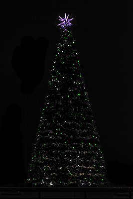 포토 JPG 해외이미지 나무 디자인 계절 별 리본 백그라운드 크리스마스 겨울 패턴 가방 일러스트 공 곰 자연 불 휴가 전등 새로움 미술 사람없음 야외 그래픽 장식 초록색 컬러풀 흰색 나뭇가지 축하 소나무 신용카드 황금 12월 연도 심볼 벽난로 질감 상록수 전나무 엘리먼트 해외일러스트 자연요소 식물 동물 잡화 기념일 컬러 컨셉 무늬 포유류 문화예술 조명 금융 날짜 생태계 파일형식 이미지허브