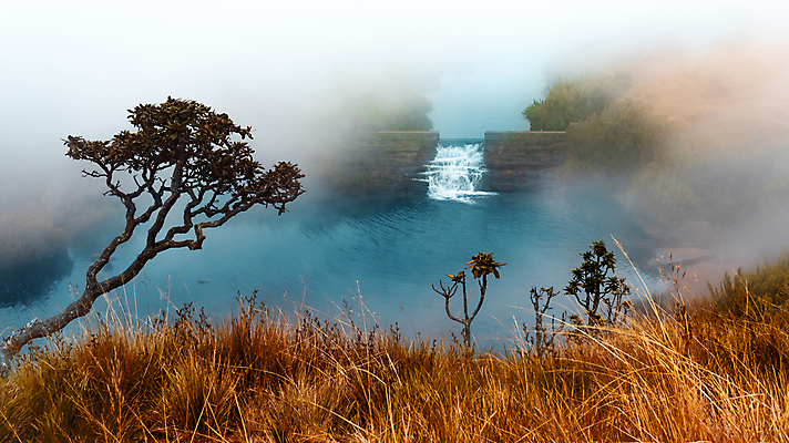 포토 JPG 해외이미지 나무 호수 섬 여행 백그라운드 자연 벽지 파노라마 사람없음 초록색 물 파란색 노란색 환경 침묵 놀람 봄 폭포 하이킹 흐름 추위 안개 개울 황무지 숲 작음 장면 내추럴 산악지대 스리랑카 전국 평야 해외포토 자연요소 식물 계절 감정 아시아 컬러 컨셉 레저 날씨 산 촬영기법 표정 강 소리 크기 생태계 파일형식 이미지허브