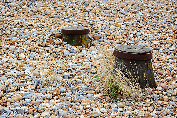 포토 JPG 해외이미지 자연 사람없음 환경 울퉁불퉁 해외포토 생태계 파일형식 이미지허브