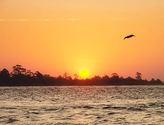 포토 JPG 해외이미지 여행 사람없음 조지아 해외포토 동유럽 파일형식 이미지허브