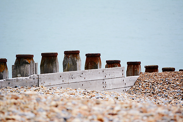 포토 JPG 해외이미지 바다 사람없음 목재 환경 바위 보호 카피스페이스 해외포토 나무 컨셉 재료 공백 돌_바위 파일형식 이미지허브