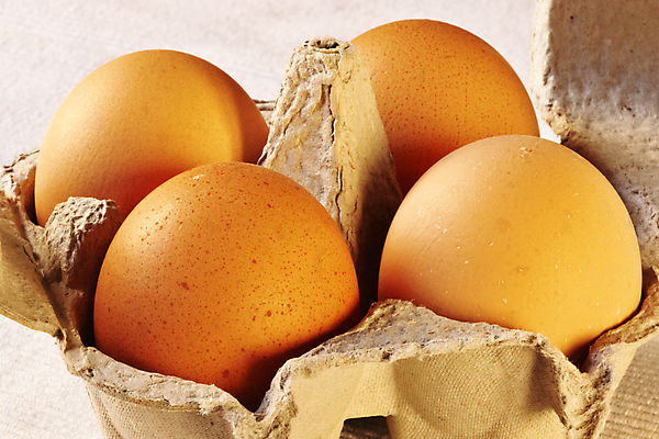 포토 JPG 해외이미지 스튜디오촬영 전통 음식 다이어트 재료 자연 요리 사람없음 상자 계란 식사 성장 껍질 시골 신선 닫기 맛 작음 먹기 유기농 날것 건강식 내추럴 단백질 생식 취급주의 해외포토 웰빙 컨셉 모션 실내 건강 경고 알 크기 생태계 영양소 파일형식 이미지허브