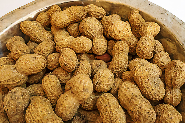 포토 JPG 해외이미지 그릇 실내 사람없음 견과류 땅콩 해외포토 식기 내부 파일형식 이미지허브