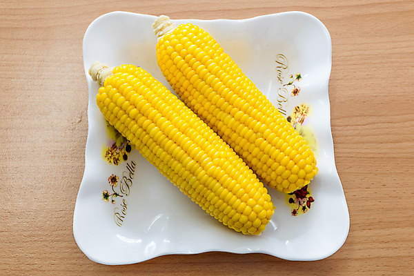 포토 JPG 해외이미지 식물 음식 백그라운드 다이어트 채소 재료 자연 건강 옥수수 요리 씨앗 사람없음 여름 농작물 노란색 식사 수확 흰색 신선 뜨거움 황금 달콤 맛 시리얼 먹기 유기농 알맹이 내추럴 고립 삶기 숙성 채식주의자 해외포토 웰빙 계절 컬러 컨셉 농업 모션 곡류 생태계 채식 파일형식 이미지허브