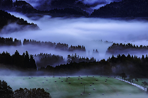 포토 JPG 해외이미지 나무 식물 계절 유럽 여행 단풍 자연 아침 산 사람없음 야외 초록색 환경 새벽 하이킹 안개 시골 숲 언덕 산등성이 체코 내추럴 뿌연 가문비나무 해외포토 주간 자연요소 나라 컬러 잎 레저 날씨 생태계 파일형식 이미지허브