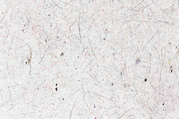 포토 JPG 해외이미지 동물 백그라운드 털 사람없음 고양이 질병 청소 질감 롤 섬유 박테리아 양모 알레르기 수집가 위생관리 더스트파티클 해외포토 직업 포유류 의학 관리 반려동물 직물 파일형식 이미지허브