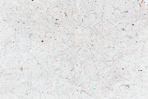 포토 JPG 해외이미지 동물 백그라운드 털 사람없음 고양이 질병 청소 질감 섬유 박테리아 양모 알레르기 위생관리 더스트파티클 해외포토 포유류 의학 관리 반려동물 직물 파일형식 이미지허브