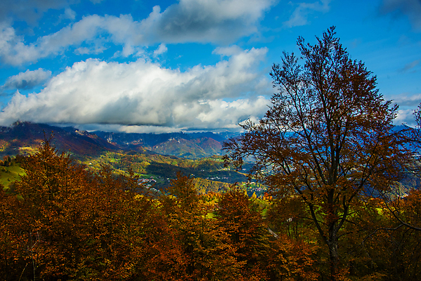 포토 JPG 해외이미지 나무 식물 계절 유럽 길 잎 오렌지 사람없음 야외 목재 파란색 빛 노란색 환경 화목 침묵 이탈리아 산책 등산 꿈 하이킹 숲 신비 11월 알프스 조경 마법 방법 생태학 해외포토 교육 나라 컬러 컨셉 과일 재료 레저 휴식 소리 트래킹 날짜 파일형식 이미지허브