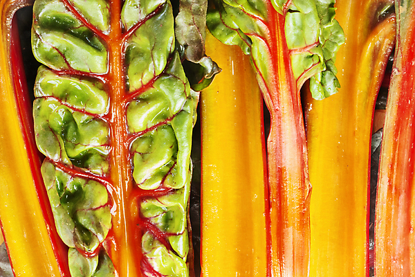 포토 JPG 해외이미지 스튜디오촬영 식물 계절 음식 줄기 백그라운드 잎 농업 다이어트 채소 재료 자연 추상 사람없음 초록색 컬러풀 식사 성장 신선 닫기 맛 먹기 유기농 날것 건강식 내추럴 생식 식용 정물화 해외포토 웰빙 산업 컬러 컨셉 무늬 모션 실내 건강 그림 생태계 파일형식 이미지허브