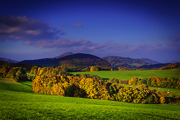 포토 JPG 해외이미지 나무 계절 공원 유럽 여행 잎 밭 자연 하늘 아침 날씨 산 사람없음 야외 초록색 파란색 컬러풀 농장 노란색 마을 환경 계곡 맑음 시골 숲 언덕 체코 내추럴 해외포토 주간 식물 공공시설 나라 컬러 농업 생태계 파일형식 이미지허브