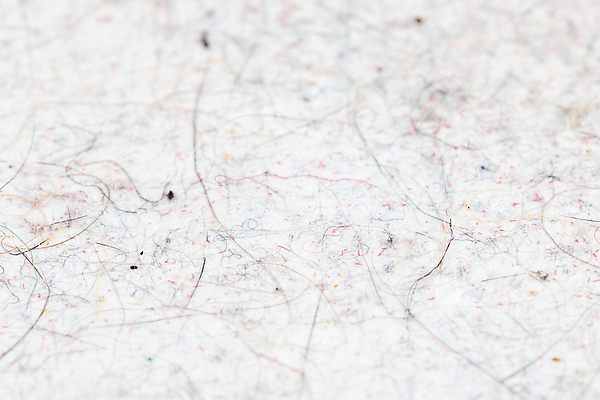 포토 JPG 해외이미지 동물 백그라운드 털 사람없음 고양이 질병 청소 질감 롤 섬유 박테리아 양모 알레르기 위생관리 더스트파티클 해외포토 포유류 의학 관리 반려동물 직물 파일형식 이미지허브