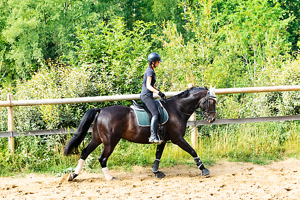 포토 JPG 해외이미지 동물 스포츠 한명 사람 이벤트 야외 갈색 검은색 경쟁 만 승마 승차 쇼 안장 굴레 라이더 해외포토 1 컬러 컨셉 모션 파일형식 이미지허브