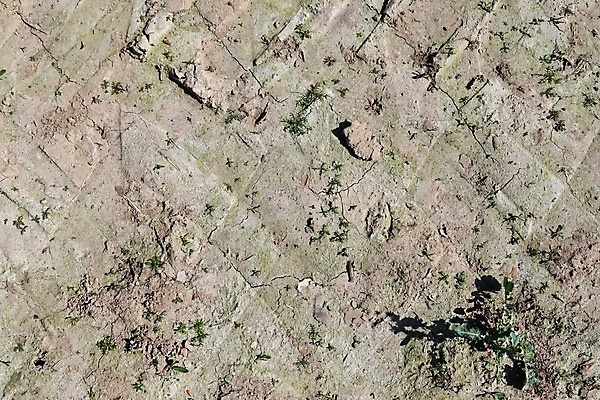 포토 JPG 해외이미지 식물 지구 백그라운드 패턴 농업 자연 표면 건조 사람없음 농작물 글로벌 농장 흙 회색 사막 성장 시골 뜨거움 거친 균열 땅 유기농 원예 질감 먼지 진흙 가뭄 그런지 땅바닥 밭일 해외포토 웰빙 산업 컬러 무늬 모션 날씨 바닥 취미 생태계 파일형식 이미지허브