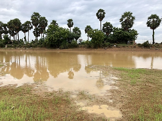 포토 JPG 해외이미지 나무 구름 공원 호수 자연 하늘 풍경 사람없음 야외 초록색 물 여름 파란색 강 반사 침묵 가을 연못 숲 해외포토 자연요소 식물 계절 공공시설 컬러 소리 생태계 파일형식 이미지허브