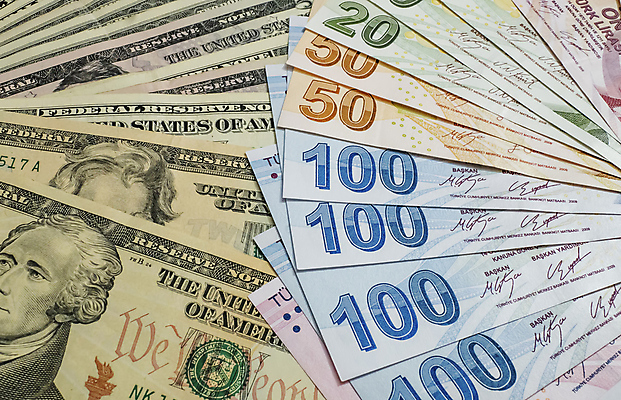 포토 JPG 해외이미지 종이 백그라운드 컨셉 지폐 돈 비즈니스 성공 사람없음 금융 경제 세일 달러 쪽지 미국 저축 흰색 재산 심볼 무역 투자 상업 칠면조 계산서 월급 빚 수입 위기 튀르키예 해외포토 산업 아시아 컬러 북아메리카 조류 파일형식 이미지허브