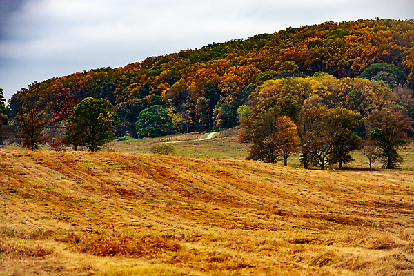 포토 JPG 해외이미지 나무 식물 계절 공원 도로 길 백그라운드 단풍 잎 오렌지 아침 따뜻함 사람없음 야외 목재 초록색 빛 햇빛 노란색 평화 맑음 침묵 활발 광선 황금 목표 숲 오솔길 장면 10월 내추럴 무료 방법 삼림지대 파라다이스 해외포토 주간 공공시설 컬러 컨셉 과일 재료 교통시설 날씨 태양 소리 날짜 파일형식 이미지허브