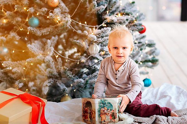 포토 JPG 해외이미지 나무 백인 전통 행복 어린이 크리스마스 겨울 창문 가족 아침 휴가 전등 새로움 주택 기념 함께함 실내 선물 한명 미소 사람 소년 장식 상자 장난감 산타클로스 놀람 펼침 방 축하 아기 12월 연도 벽난로 마법 걸음마 남동생 해외포토 주간 서양인 식물 1 계절 기념일 남자 감정 컨셉 관계 모션 조명 표정 내부 건물 날짜 동생 파일형식 이미지허브