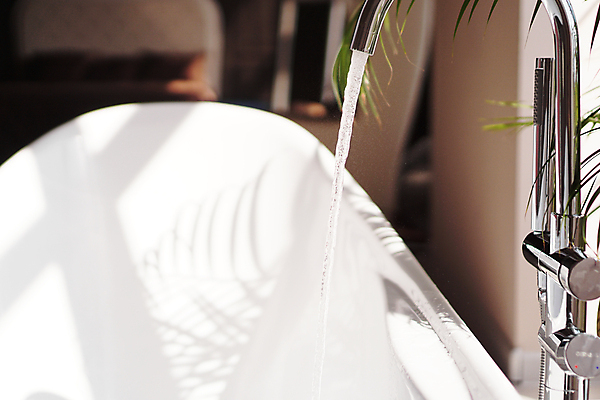 포토 JPG 해외이미지 식물 디자인 선 벽 창문 자연 휴식 바닥 선인장 주택 실내 손바닥 사람없음 내부 목재 장식 초록색 빛 햇빛 금속 목욕 카펫 거울 방 욕실 흰색 도시 냄비 타일 싱크대 수도꼭지 직사각형 내추럴 오아시스 스타일 그리너리 해외포토 도형 나무 손 컬러 컨셉 재료 재질 건물 태양 청결 솥 개수대 생태계 파일형식 트랜드컬러 이미지허브