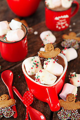 포토 JPG 해외이미지 기념일 음료 음식 크리스마스 휴가 사탕 사람없음 목재 빨간색 세로 컬러풀 쿠키 초콜릿 대접 뜨거움 달콤 맛 뿌리기 레시피 코코아 따뜻한음료 해외포토 나무 컬러 컨셉 재료 모션 디저트 이벤트 파일형식 이미지허브