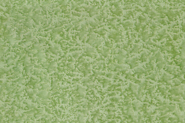 포토 JPG 해외이미지 디자인 백그라운드 패턴 표면 사람없음 초록색 공백 덮개 직물 플랫 올리브 질감 부드러움 솜털 인공 평야 해외포토 열매 컬러 무늬 자연 뚜껑 감각 파일형식 이미지허브