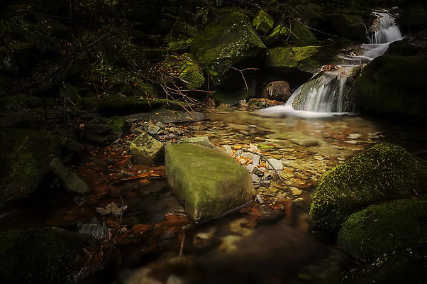 포토 JPG 해외이미지 나무 계절 공원 유럽 길 여행 잎 자연 휴식 산 이끼 풍경 사람없음 야외 가로 초록색 물 강 컬러풀 환경 침묵 폭포 흐름 가을 바위 신선 개울 숲 상쾌 장면 체코 10월 내추럴 해외포토 자연요소 식물 공공시설 감정 나라 컬러 컨셉 소리 돌_바위 날짜 생태계 파일형식 이미지허브