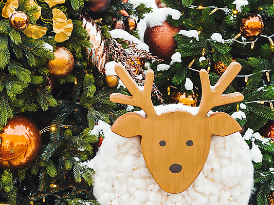 포토 JPG 해외이미지 크리스마스장식 크리스마스 겨울 사람없음 야외 목재 크리스마스트리 루돌프 목각인형 오너먼트 해외포토 나무 계절 기념일 인형 재료 사슴 파일형식 이미지허브