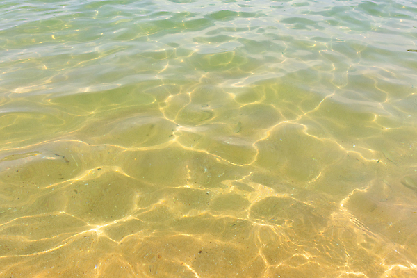 포토 JPG 해외이미지 물결 모래 파도 바다 백그라운드 패턴 모션 자연 벽지 표면 추상 불꽃 풍경 사람없음 야외 물 여름 빛 햇빛 반사 맑음 침묵 활발 젖음 투명 액체 질감 심플 장면 빛망울 내추럴 잔물결 터키석 해외포토 자연요소 계절 컨셉 무늬 불 날씨 태양 소리 보석 생태계 파일형식 이미지허브