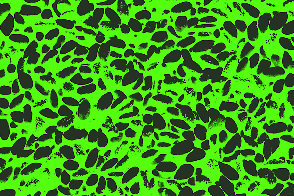 포토 JPG 해외이미지 템플릿 디자인 별 종이 벽 백그라운드 크리스마스 패턴 벽지 표면 추상 미술 사람없음 초록색 빛 반짝임 파티 우주 검은색 어둠 페인트 공백 수확 얼룩 신용카드 발표 화려 우아함 은색 야간 고민 질감 복고 보케 캔버스 페이지 마법 그런지 양피지 옛날 효과 해외포토 자연요소 기념일 감정 컬러 컨셉 무늬 농업 모션 문화예술 이벤트 금융 파일형식 이미지허브