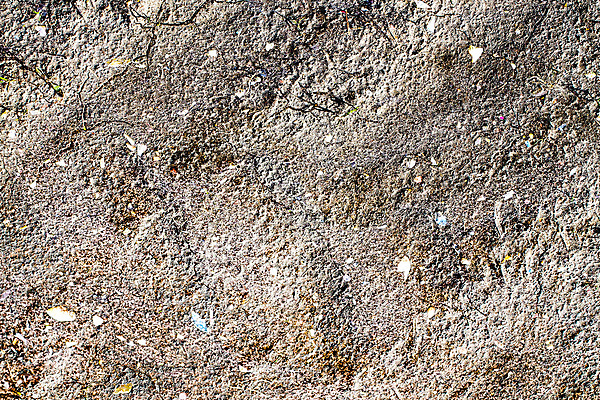 포토 JPG 해외이미지 식물 지구 백그라운드 패턴 농업 자연 표면 건조 사람없음 농작물 글로벌 농장 흙 회색 사막 성장 시골 뜨거움 거친 균열 땅 유기농 원예 질감 먼지 진흙 가뭄 그런지 땅바닥 밭일 해외포토 웰빙 산업 컬러 무늬 모션 날씨 바닥 취미 생태계 파일형식 이미지허브