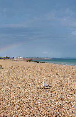 포토 JPG 해외이미지 바다 무지개 자연 갈매기 조류 하늘 날씨 잉글랜드 풍경 사람없음 조약돌 동물상 해외포토 자연요소 동물 영국 조형물 돌_바위 생태계 파일형식 이미지허브