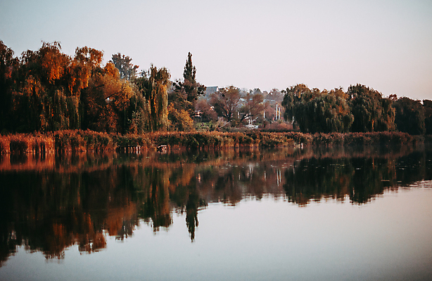포토 JPG 해외이미지 나무 공원 호수 아침 사람없음 태양 얼음 수영 놀람 새벽 수평선 해외포토 주간 자연요소 식물 공공시설 감정 표정 수상스포츠 파일형식 이미지허브