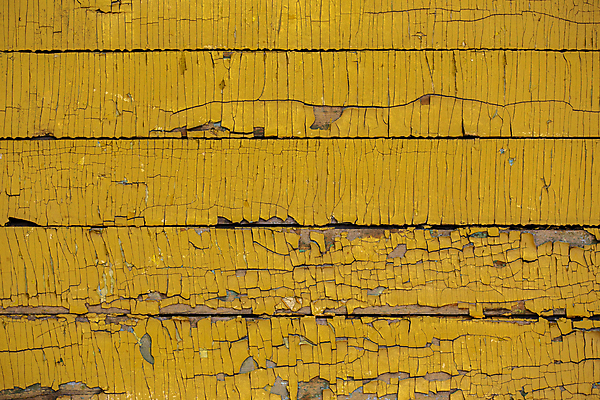 포토 JPG 해외이미지 백그라운드 사람없음 목재 노란색 질감 나무배경 해외포토 나무 컬러 재료 파일형식 이미지허브