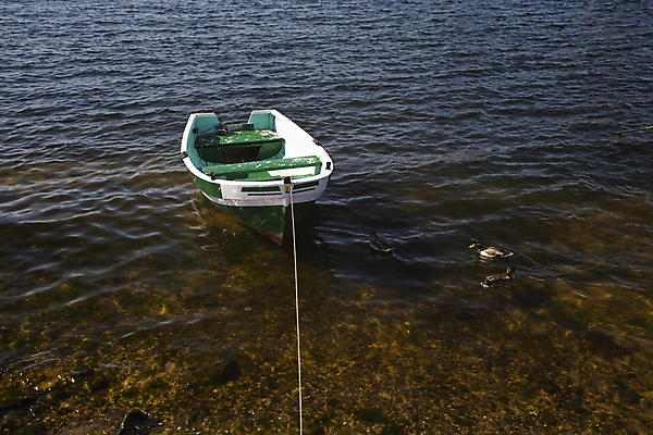 포토 JPG 해외이미지 바다 여행 교통시설 휴가 사람없음 야외 목재 물 침묵 보트 작음 옛날 해외포토 자연요소 나무 교통 배_교통 재료 소리 크기 시설 파일형식 이미지허브