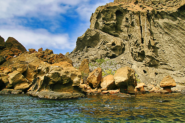 포토 JPG 해외이미지 야생동물 바다 섬 여행 자연 국립공원 풍경 사람없음 야외 초록색 뷰티 환경 미국 다양 바위 생태계 태평양 에콰도르 갈라파고스 서식지 무료 생태학 해외포토 동물 공원 교육 컬러 다수 북아메리카 돌_바위 남아메리카 파일형식 이미지허브