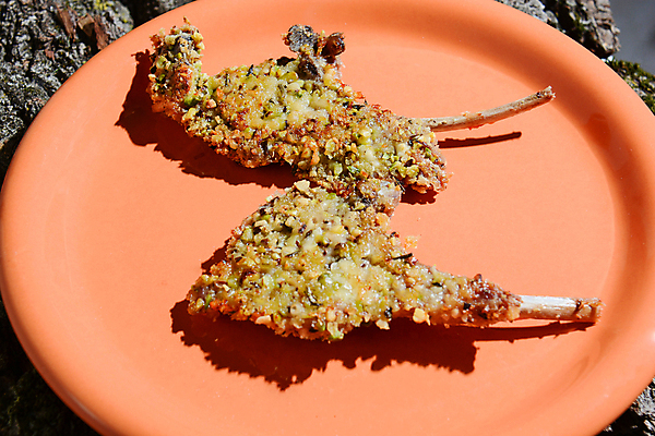 포토 JPG 해외이미지 사람없음 양고기 해외포토 육류 파일형식 이미지허브