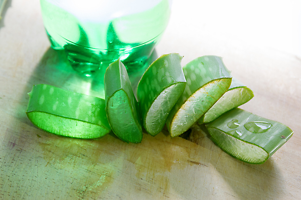 포토 JPG 해외이미지 식물 조각 백그라운드 잎 자연 선인장 주택 실내 건강 사람없음 치료 초록색 물 빛 뷰티 약 정원 스파 화장품 젖음 성장 흰색 물방울 신선 가시 닫기 떨어짐 약초 묘사 피부관리 고립 돌봄 알로에 해외포토 자연요소 컬러 컨셉 의학 모션 내부 건물 풀_식물 생태계 파일형식 이미지허브