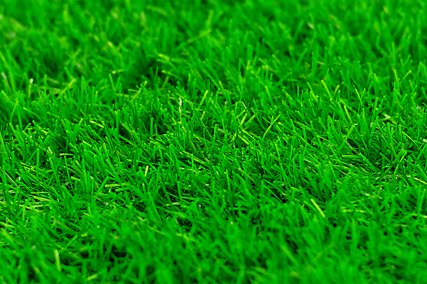 포토 JPG 해외이미지 식물 계절 백그라운드 패턴 밭 자연 벽지 하늘 추상 잔디 사람없음 야외 초록색 파란색 농작물 컬러풀 농장 환경 정원 봄 활발 골동품 성장 흰색 신선 땅 에코 원예 질감 복고 내추럴 돌봄 땅바닥 원예사 정리함 노화 해외포토 직업 컬러 컨셉 무늬 농업 모션 바닥 취미 생태계 파일형식 이미지허브